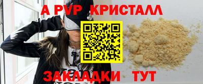 гашик Будённовск