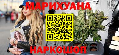 гашик Будённовск
