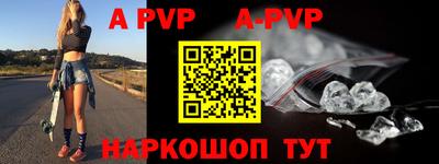 гашик Будённовск