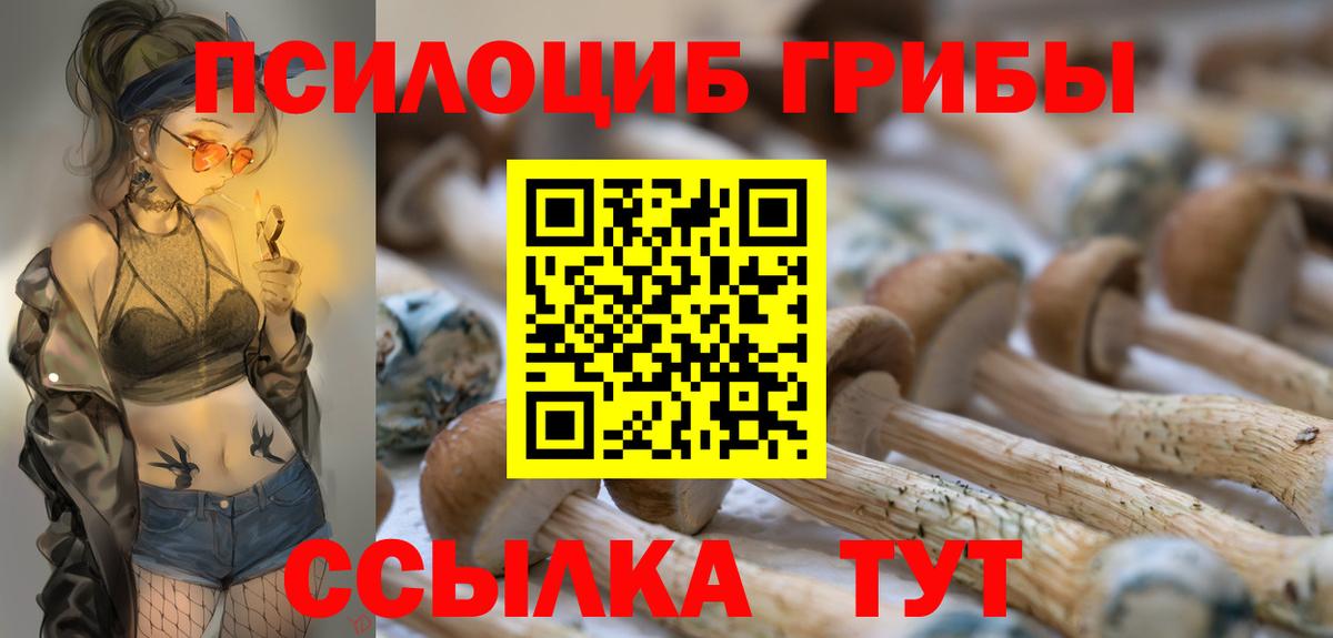 Галлюциногенные грибы мицелий Волхов