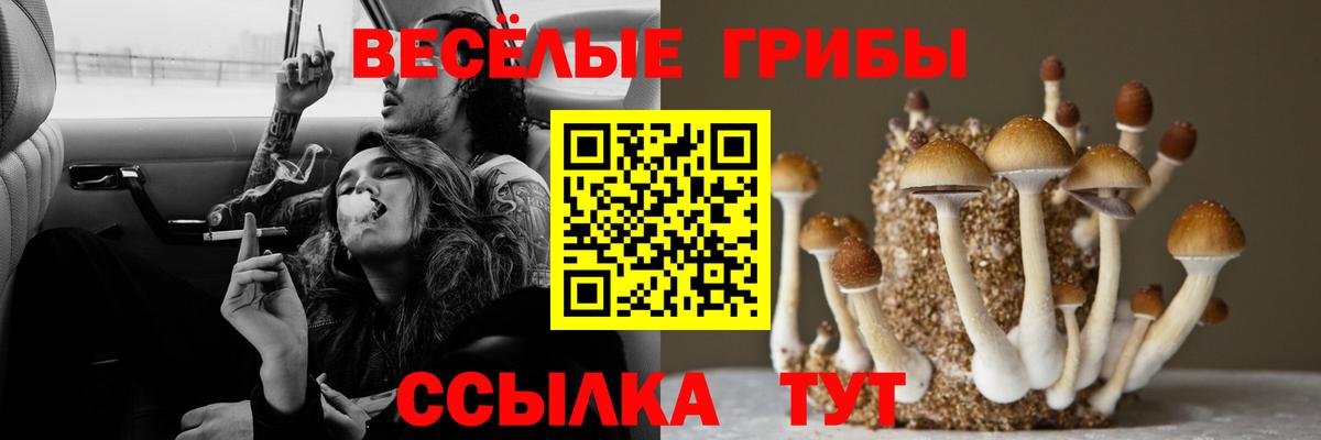 Псилоцибиновые грибы мухоморы  Псилоцибиновые грибы MAGIC MUSHROOMS  Волхов  Вход с VPN 